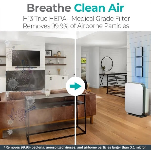 Air Purifier with True HEPA Filter X476927