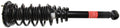 Suspension Strut and Coil Spring Assembly W66031