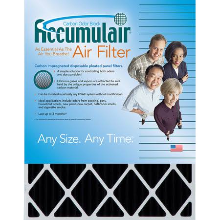 Carbon 19x21x1 MERV 8 Air Filter (4 Pack) C364503