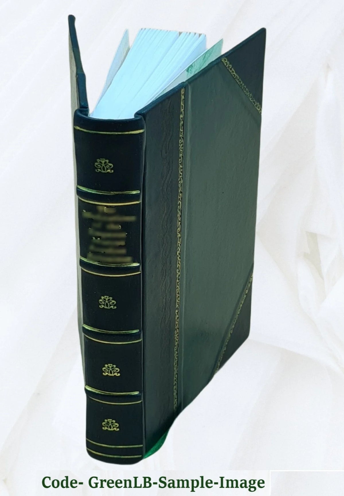Germany, the next republic? By Carl W. Ackerman. 1917 [Leather Bound] G351