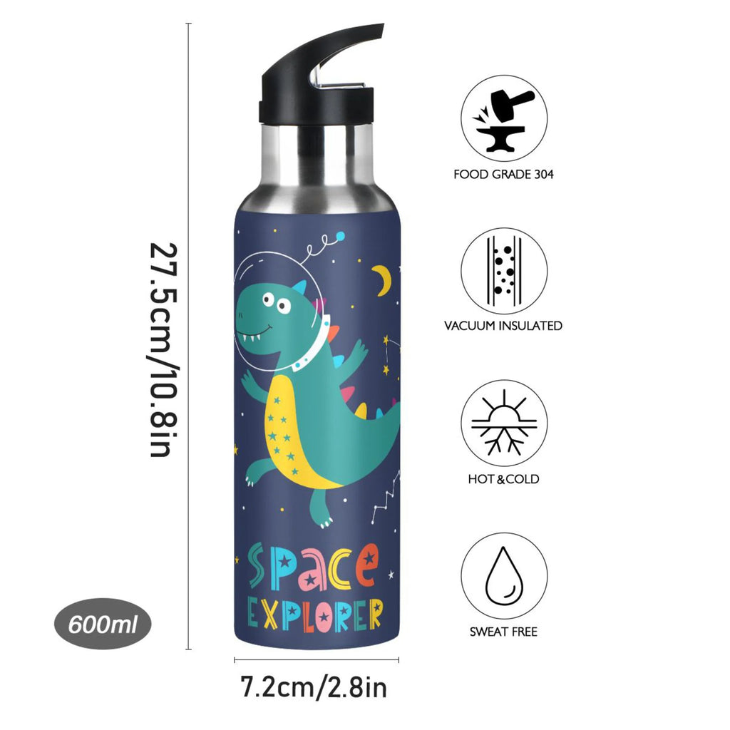 Stainless Steel Insulated Water Bottle with Straw Lid N742578