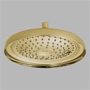 Brushed Nickel Ceiling Mount Raincan Shower Head I99216