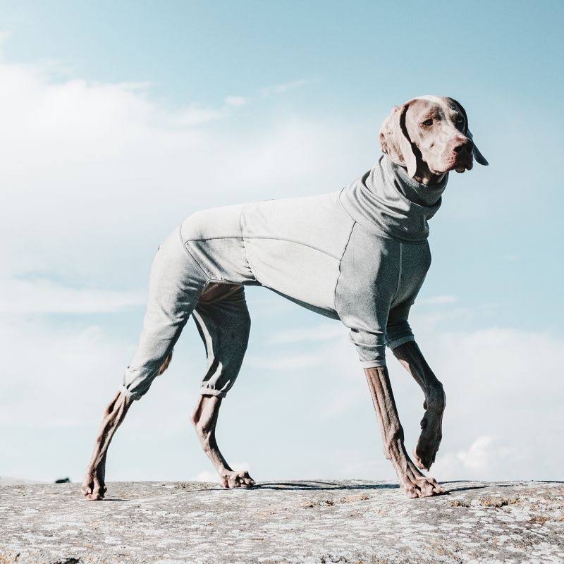 Carbon Grey Dog Body Warmer A121