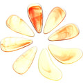 8 Pcs Guzheng Nails Thumb Picks Finger Instruments Y6963