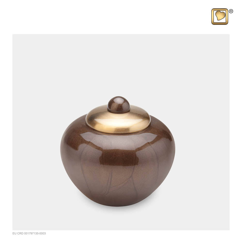 Bronze Finish Keepsake Cremation Urn C32121