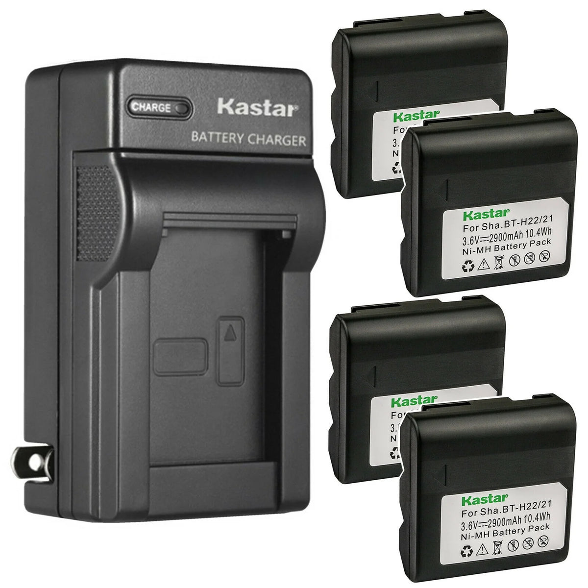 4-Pack Battery and AC Wall Charger R8273