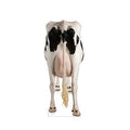 Cardboard Stand-Up W376