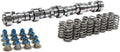 Truck Cam and Spring Kit LS 4.8 5.3 6.0 G9743