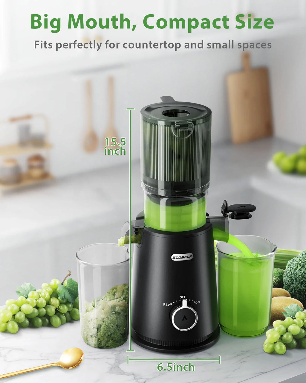 Cold Press Juicer A64269
