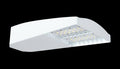Type III 65W 5000K LED 120-277V Dim 40ft WS White B3929