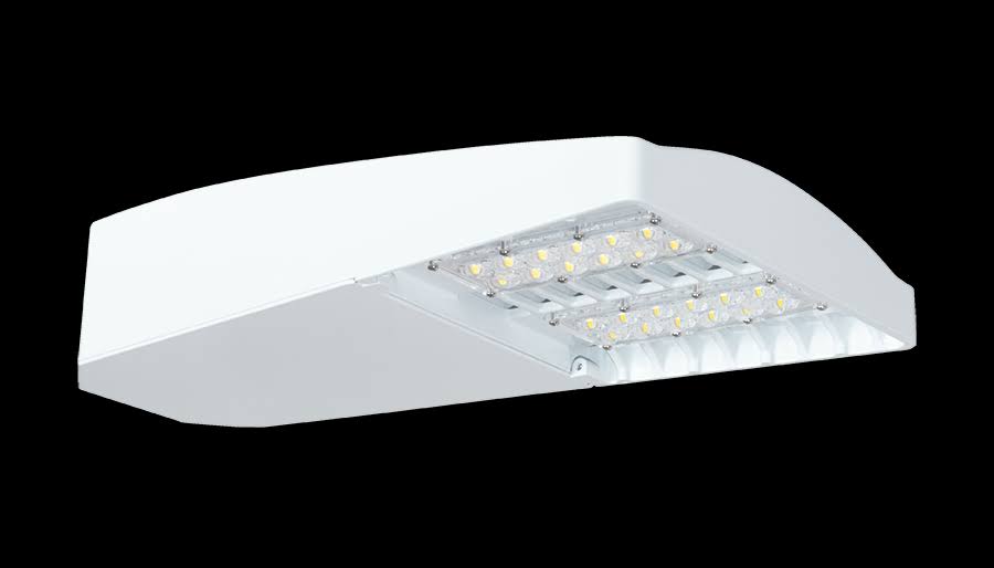Type III 65W 5000K LED 120-277V Dim 40ft WS White B3929