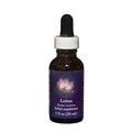 Lotus Flower Essence 30ml V416