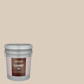 Satin Exterior Paint (5-Gallon) F83138