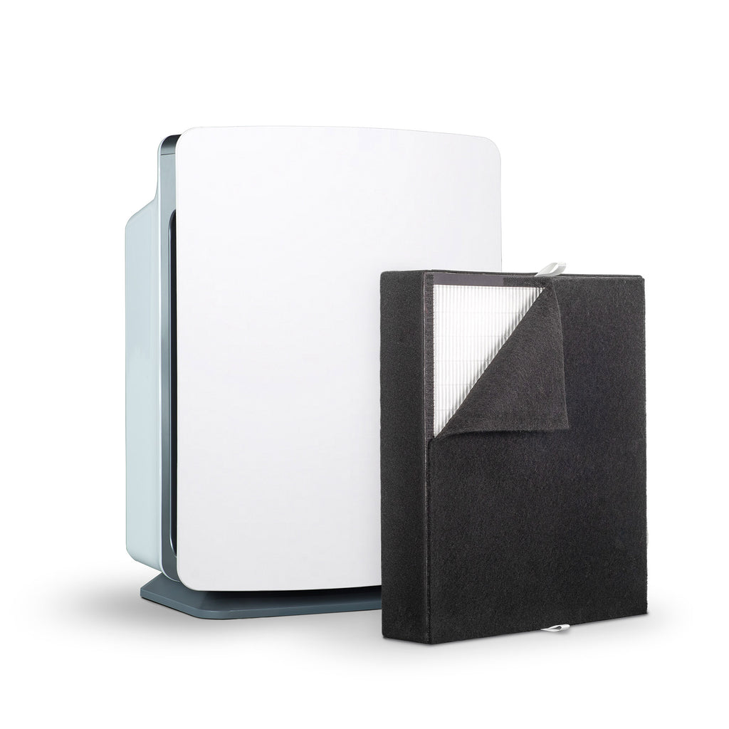 Air Purifier with True HEPA Filter X476927