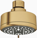 Polished Nickel 4 Spray Shower Head Pack of 2 V684771