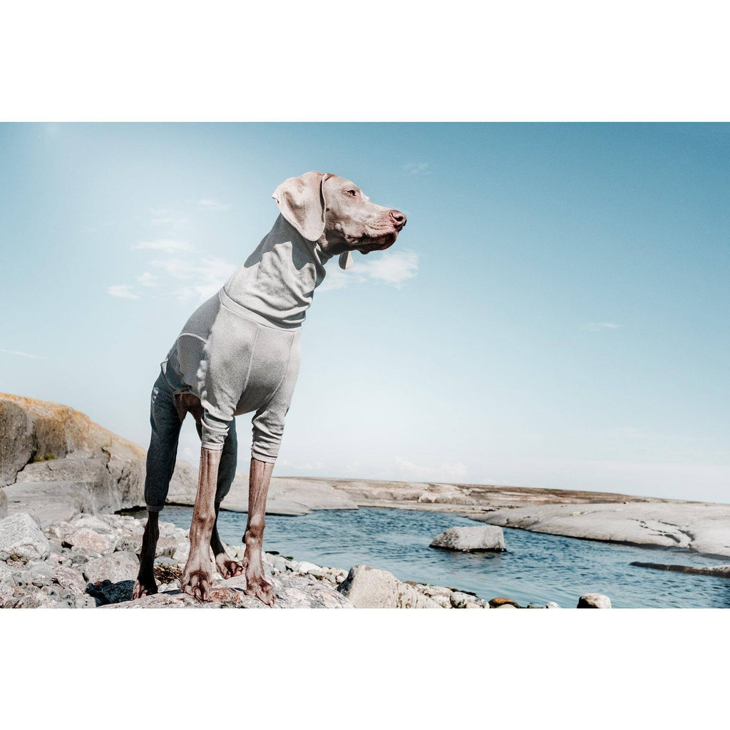 Carbon Grey Dog Body Warmer A121