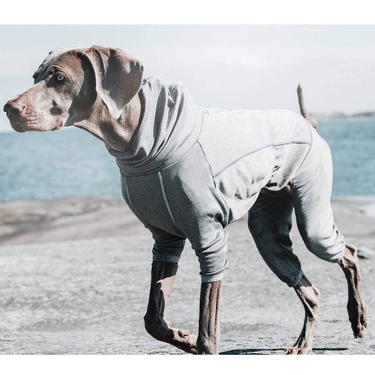 Carbon Grey Dog Body Warmer A121