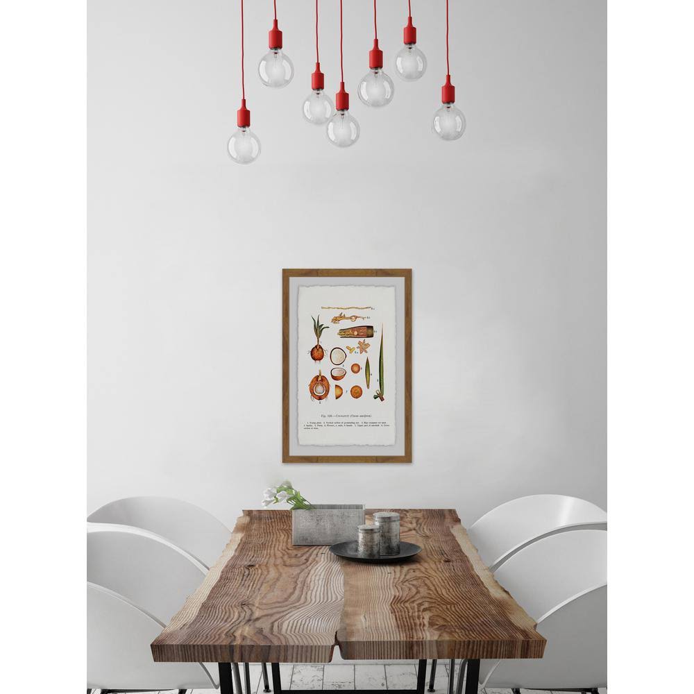 Framed Print S32138