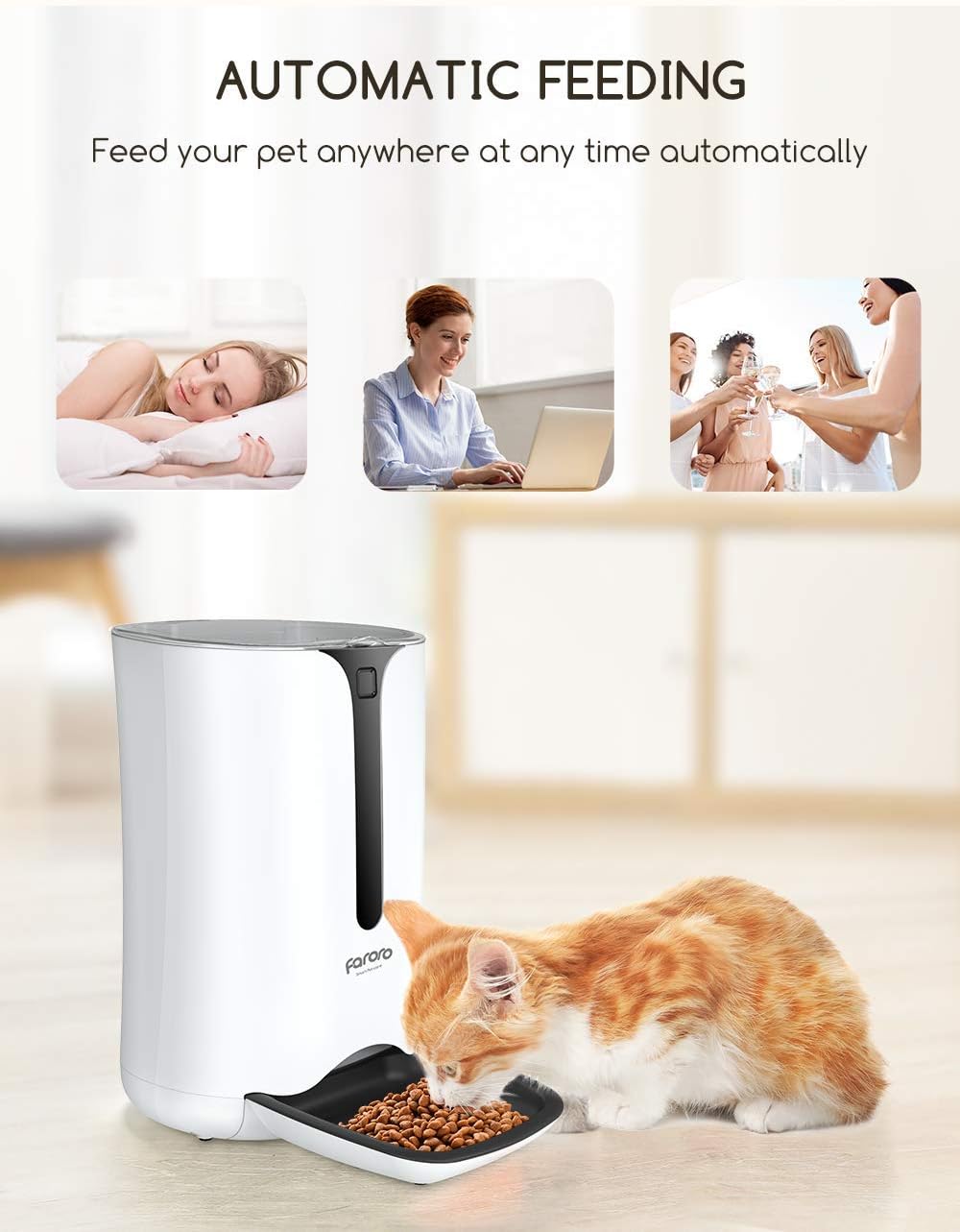 7L Automatic Cat Feeder with Programmable Timer, Pack of 2 I45807
