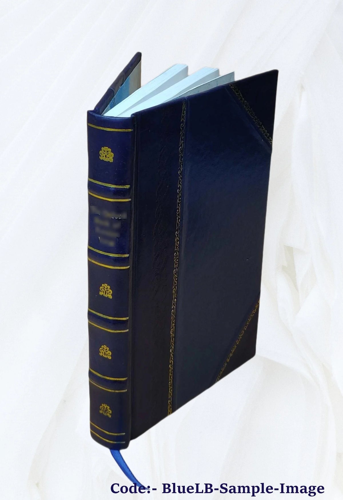 Germany, the next republic? By Carl W. Ackerman. 1917 [Leather Bound] G351