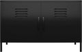 Black 2 Door Metal Locker Accent Cabinet D5365
