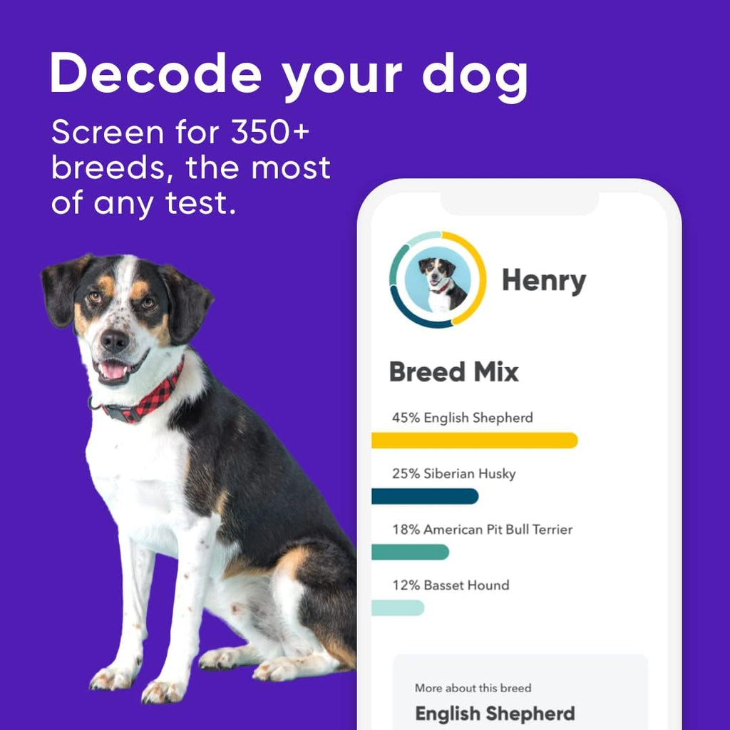 Breed Identification Kit Dog DNA Test C224