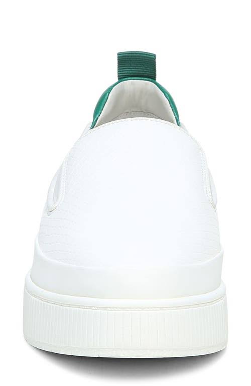 White 8.5 M Shoes P219480