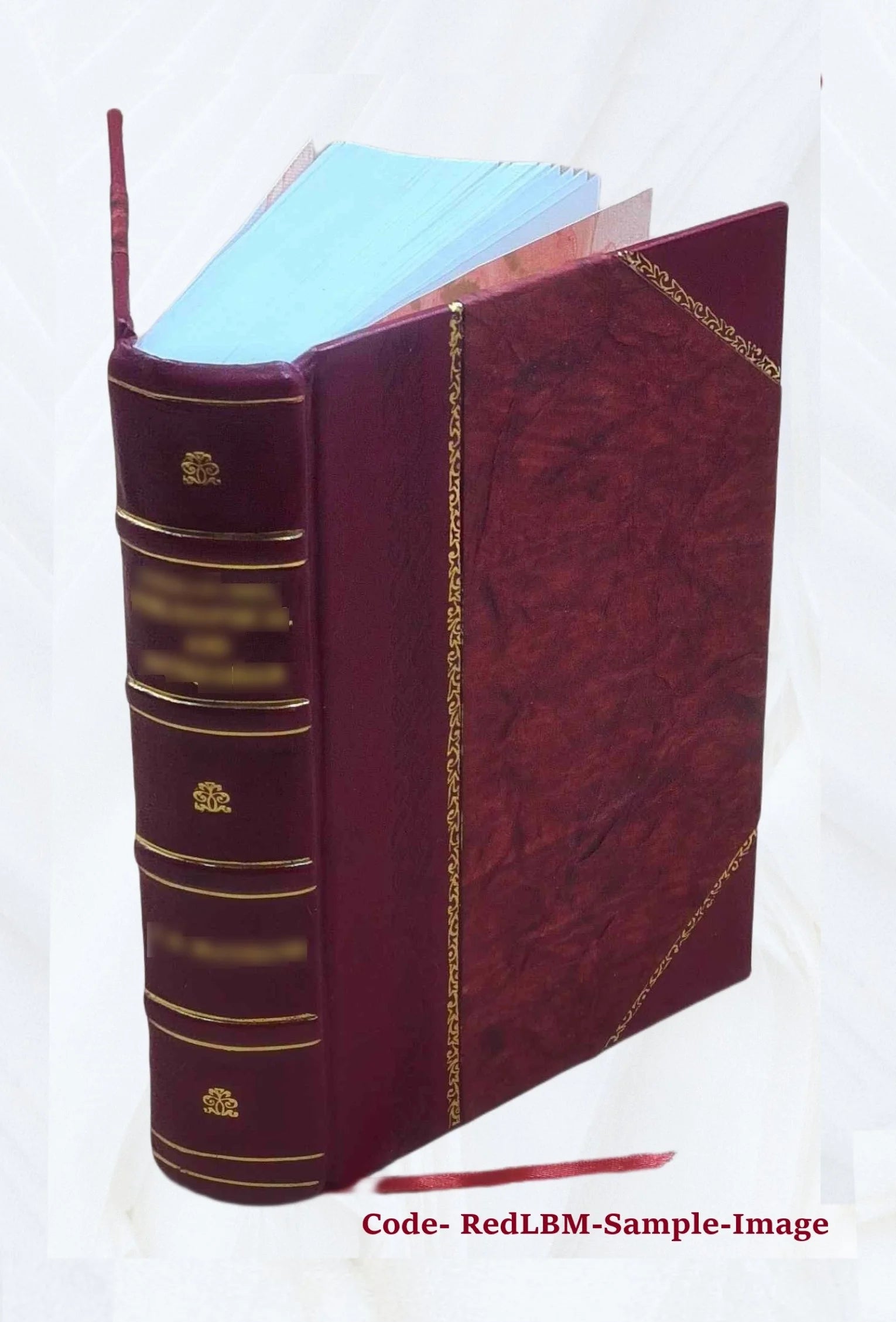 Leather Bound Book I3019