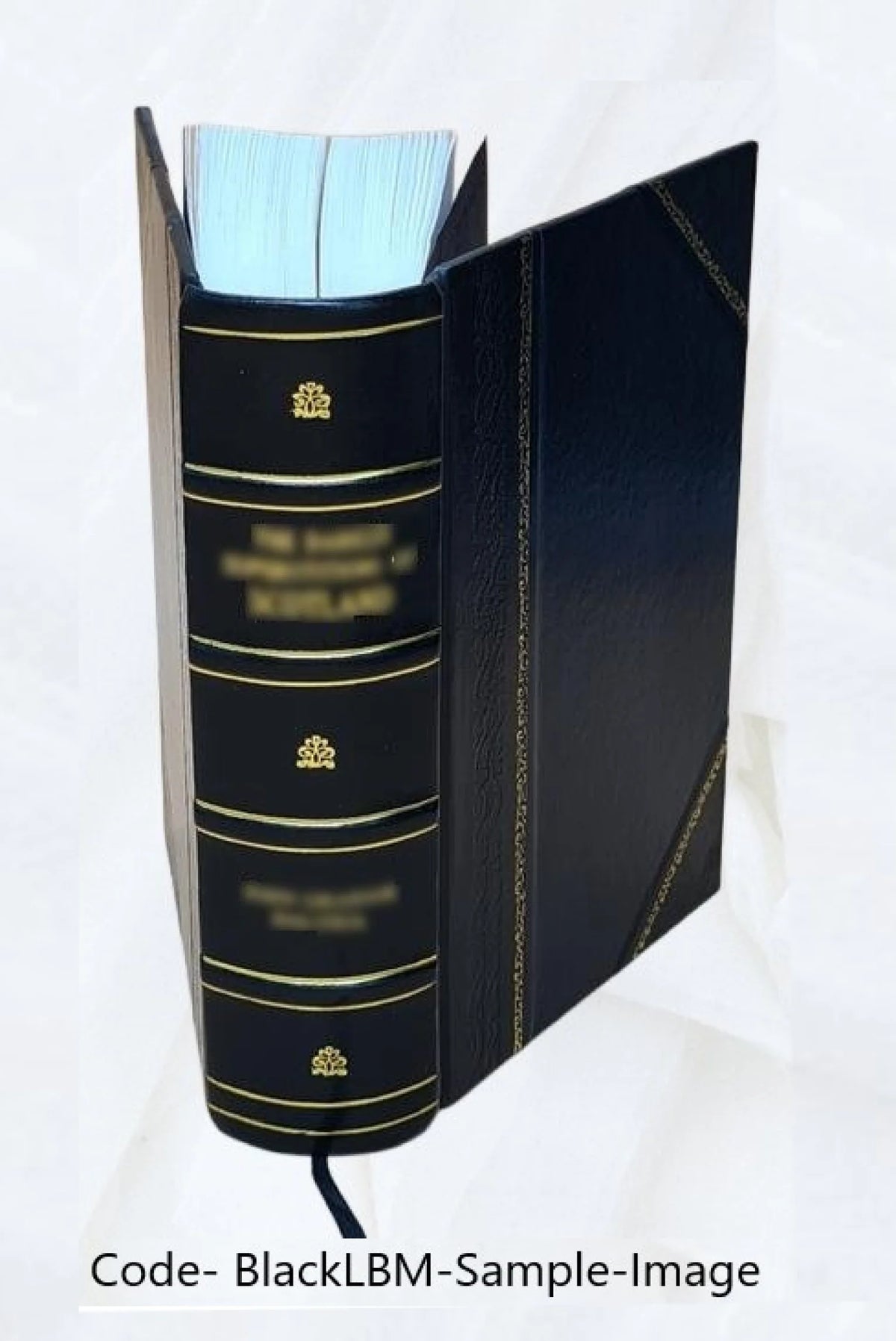 1980 Census of Population Volume 1 Characteristics of the Population South Carolina Leather Bound E802722