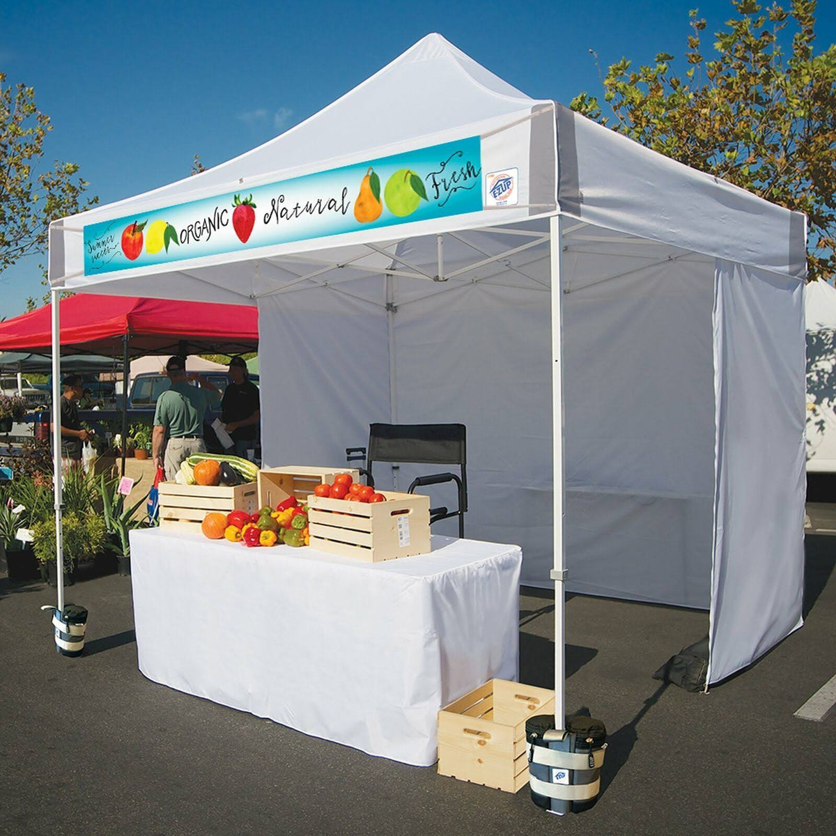 10 x 10 Instant Shelter Canopy E670331