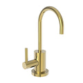 Polished Gold Hot Water Dispenser X328