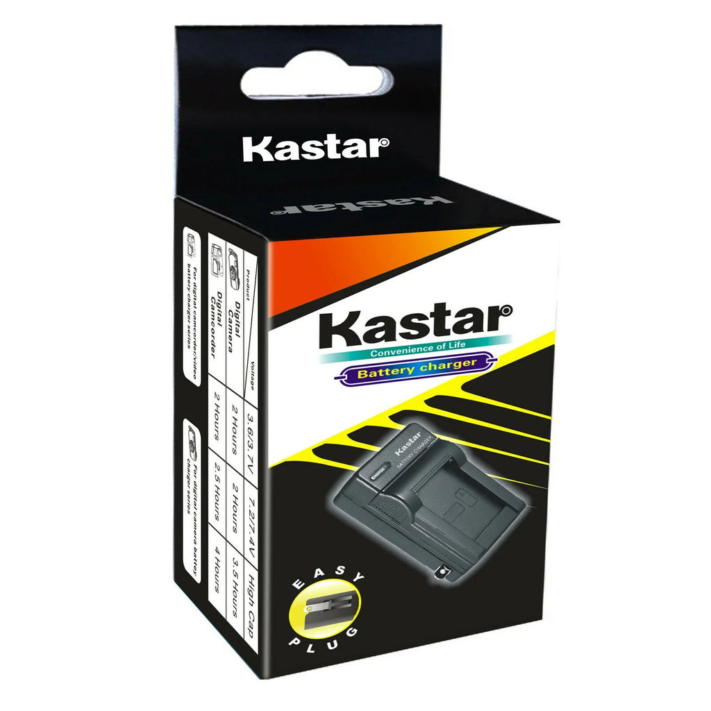 4-Pack Battery and AC Wall Charger R8273