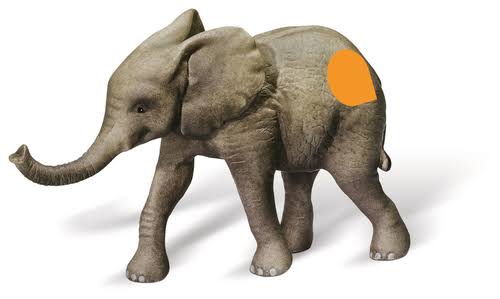 tiptoi Character Calf Toys F1028