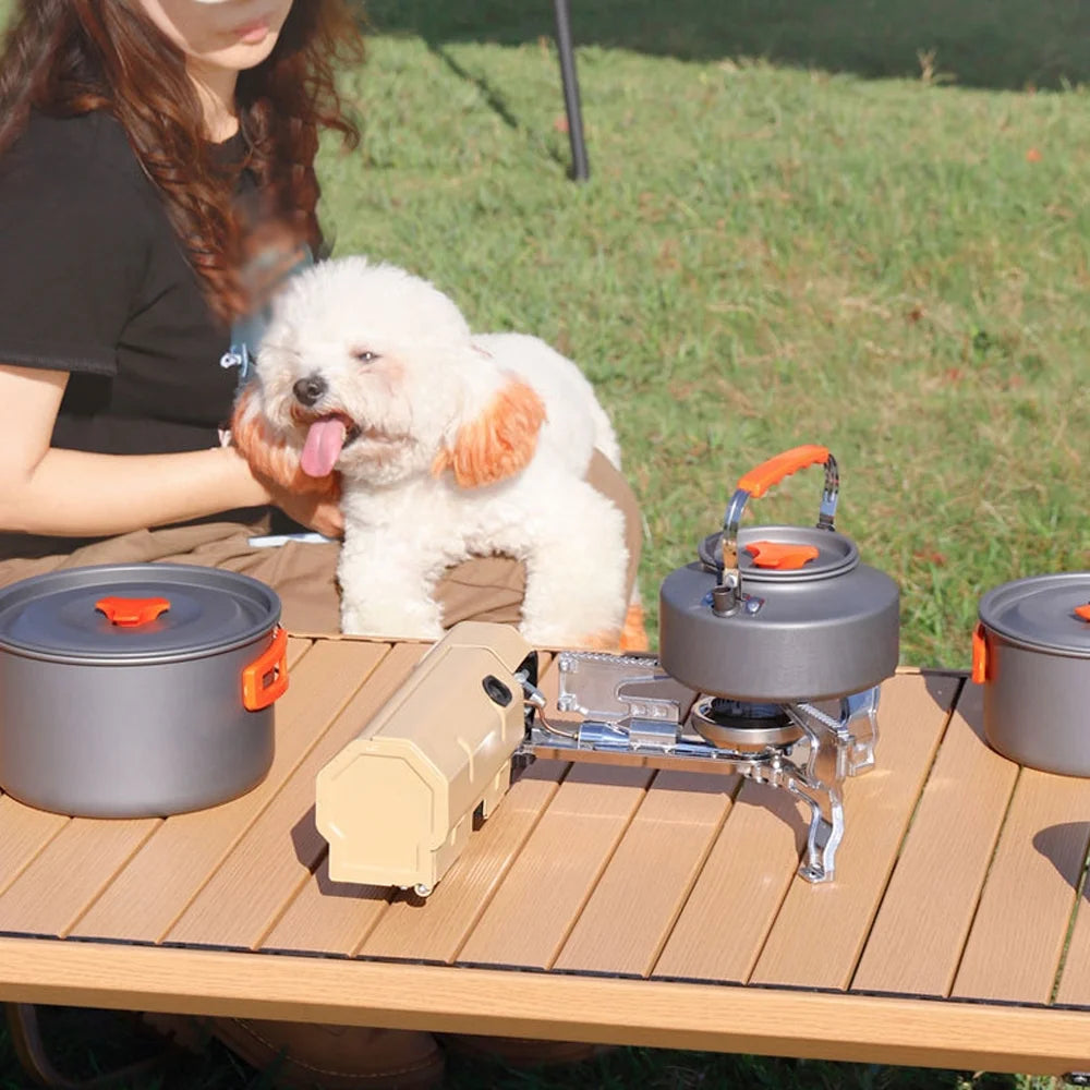Portable Folding Butane Camping Stove with Electronic Ignition Carrying Bag J613