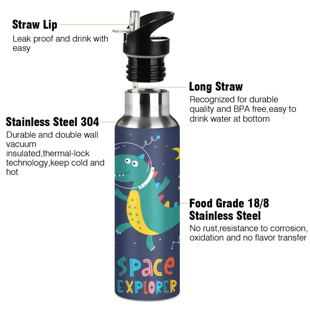 Stainless Steel Insulated Water Bottle with Straw Lid N742578