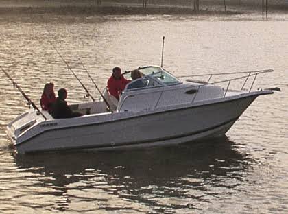 Boat Cover Y21920
