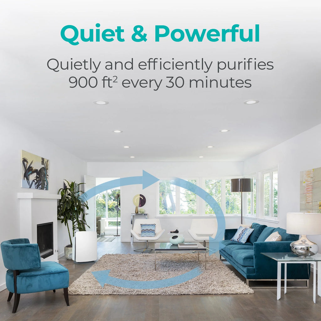 Air Purifier with True HEPA Filter X476927